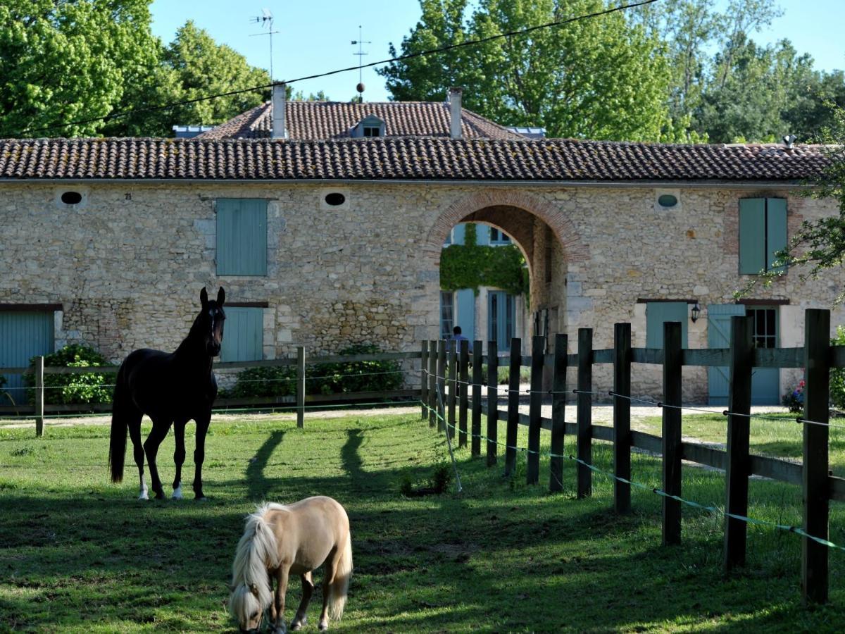 Chateau De L'Isle - Chambres D'Hotes Castelnau de Medoc Bagian luar foto